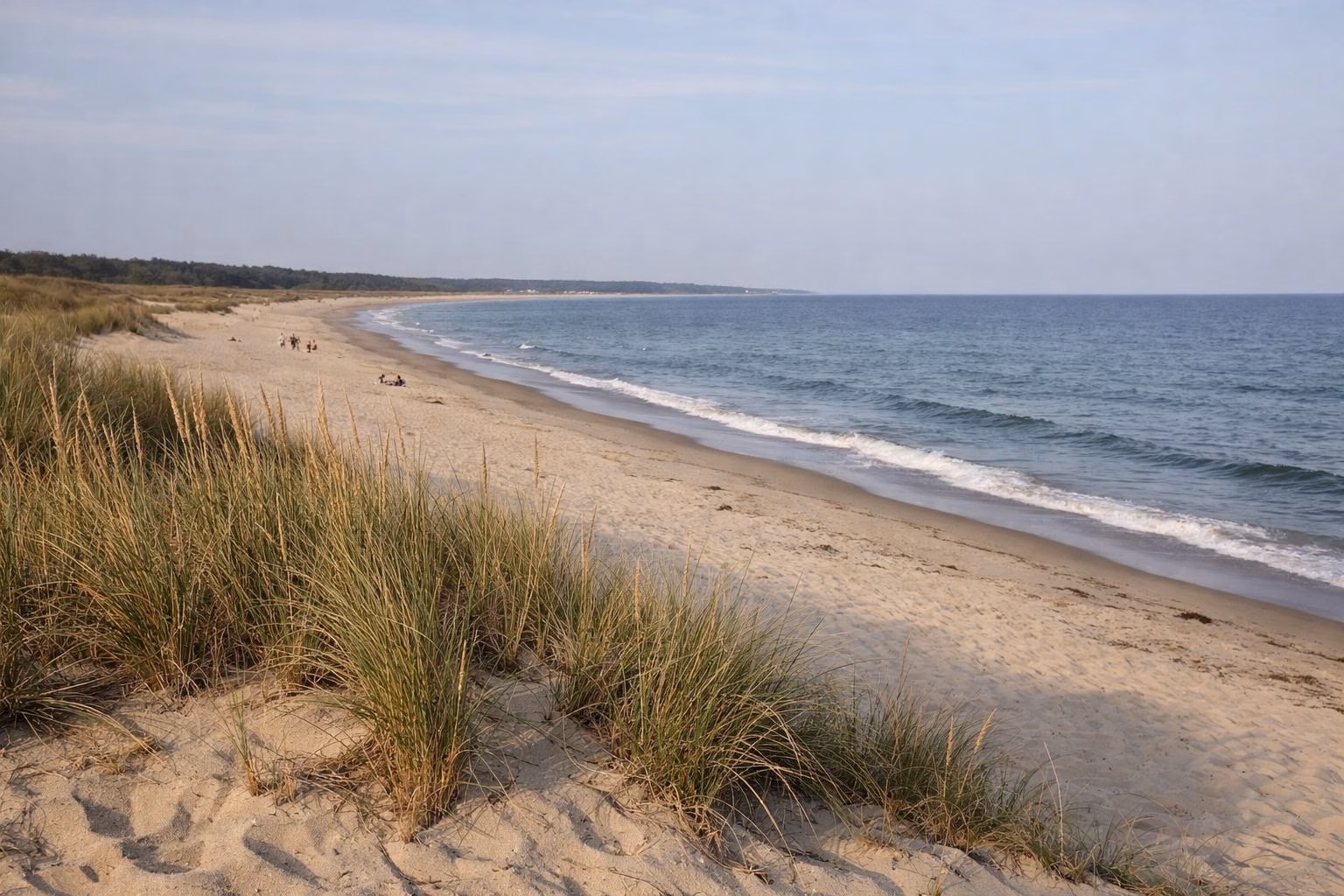 A wide sandy Atlantic beach seen from low dunes with beach grass, gentle surf and a long shoreline curving into the distance